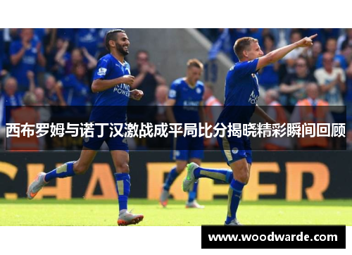 西布罗姆与诺丁汉激战成平局比分揭晓精彩瞬间回顾