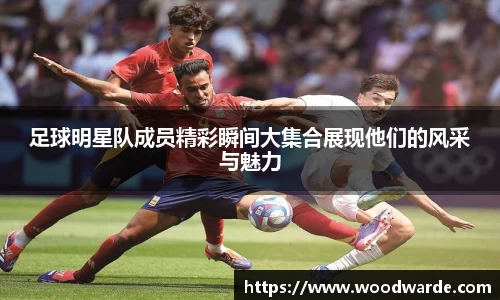 mk体育
