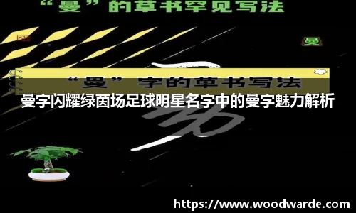 mk体育官方网站