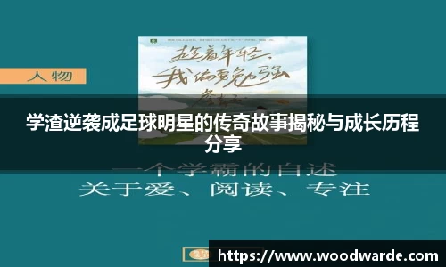 mk体育有限公司